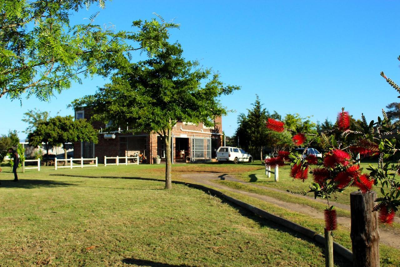 African Adventures Accommodation Durbanville Zewnętrze zdjęcie