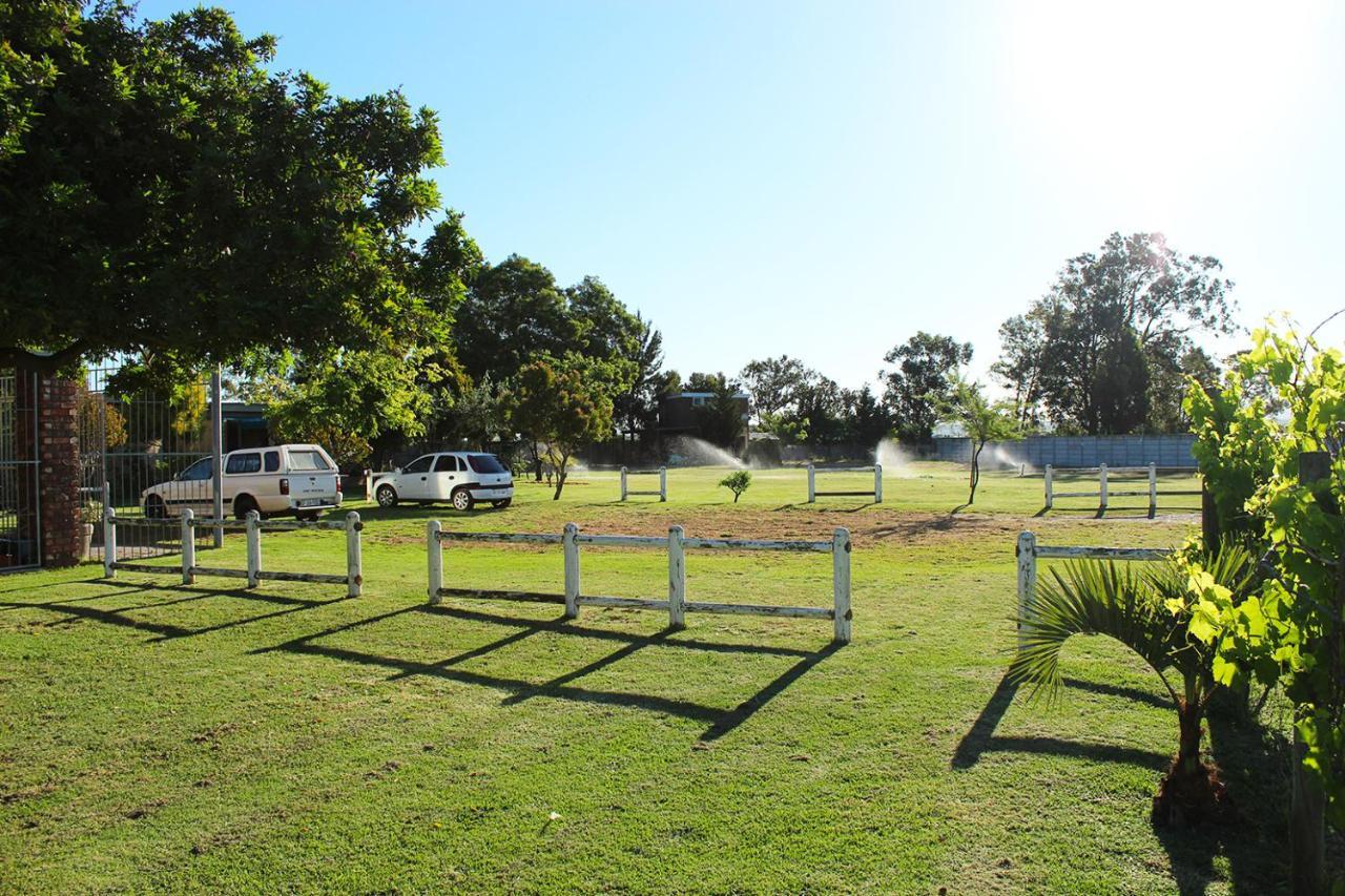 African Adventures Accommodation Durbanville Zewnętrze zdjęcie