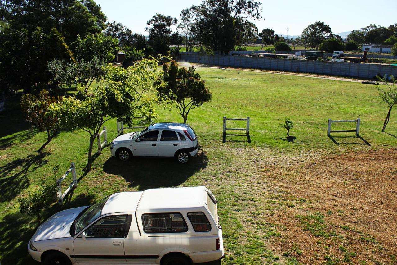 African Adventures Accommodation Durbanville Zewnętrze zdjęcie